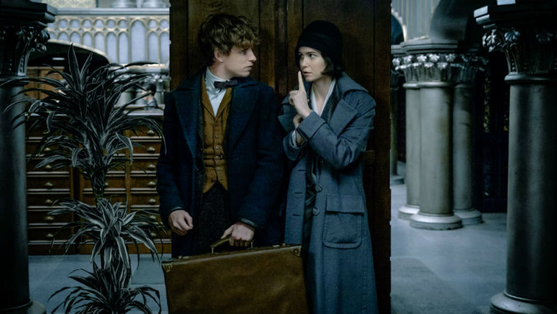 Redmayne y Katherine Waterson.